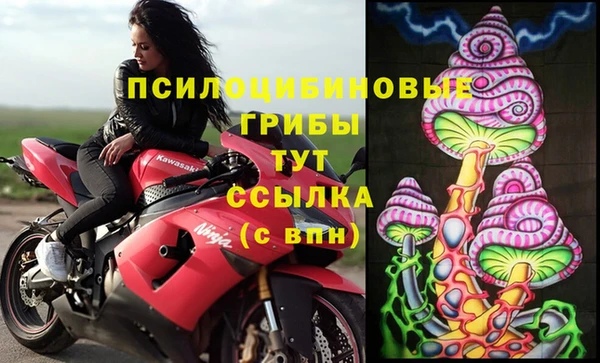 ALPHA PVP Дмитровск