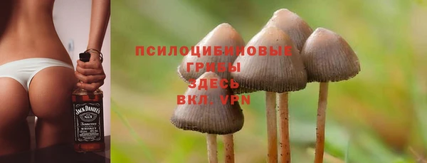 ALPHA PVP Дмитровск